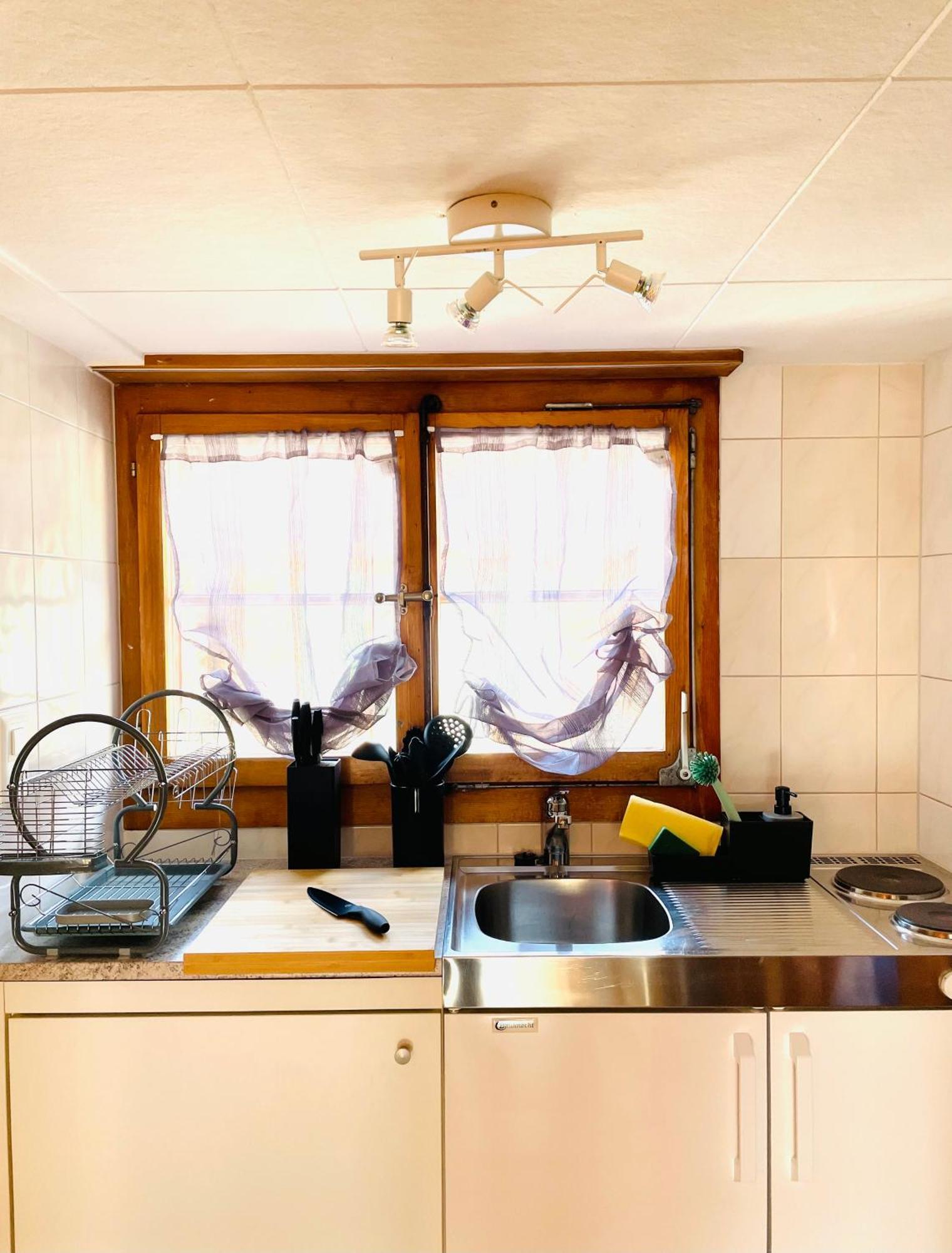 Charming, Well-Equipped Alpine Apartment Kandersteg Eksteriør bilde